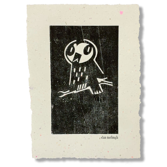 Eastern Barn Owl