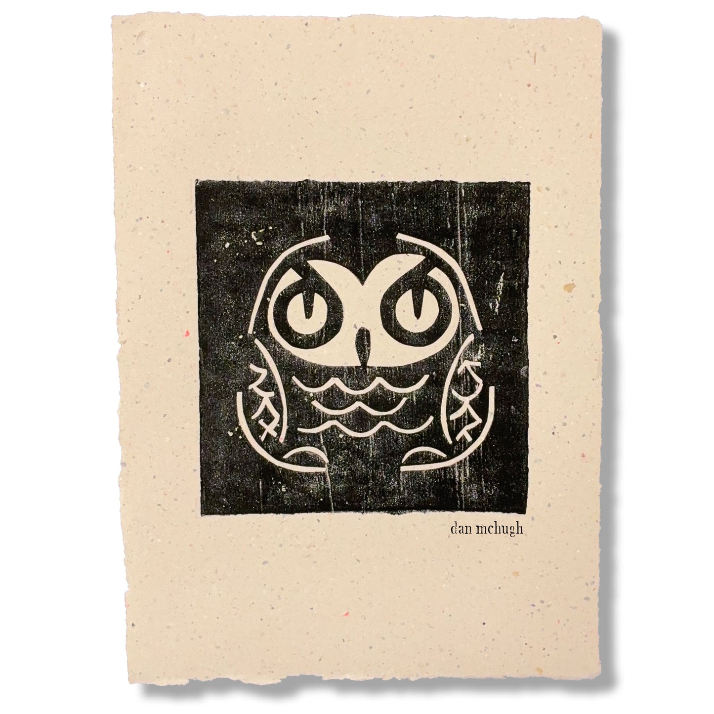 Greater Sooty Owl